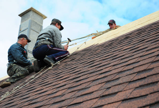Best Shingle Roofing Installation  in Campbelltown, PA